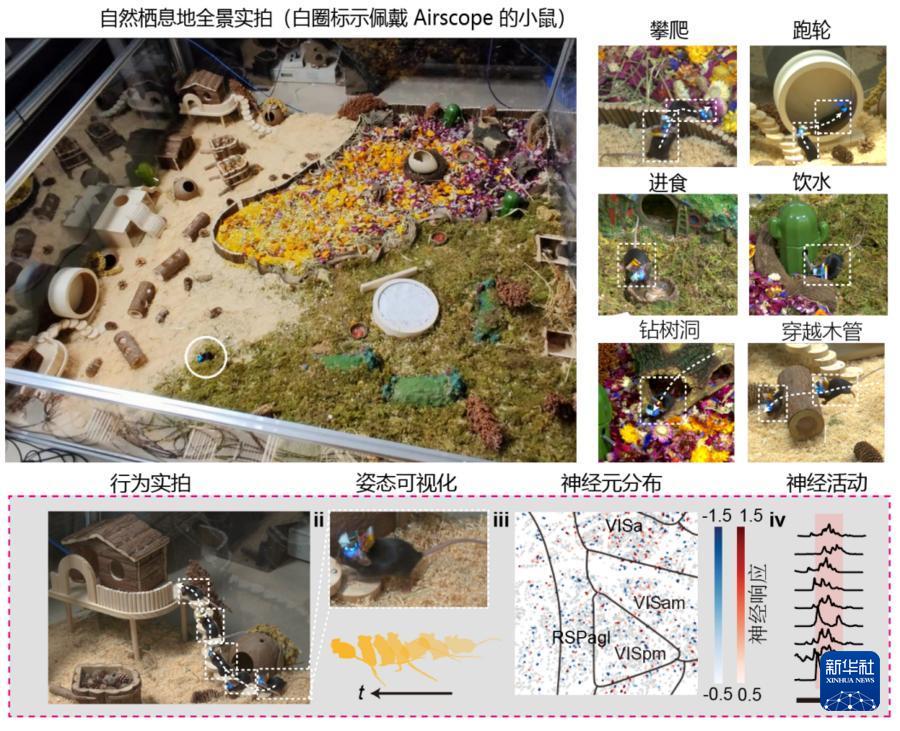 【中国造微型“脑探测器”如何“读懂大脑”？】中国工程院院士、清华大学教授戴琼海团
