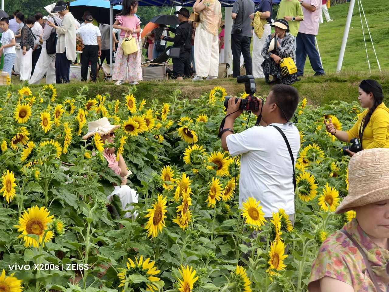 夏日生活打卡季幸福时刻：到美景打卡留下幸福美好瞬间，是一个快乐的享受。