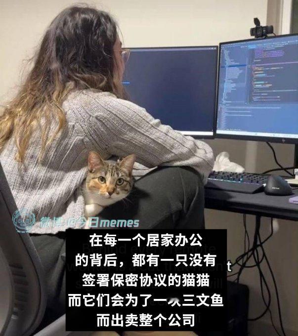 瞄瞄（9gag）今日meme 今日memes