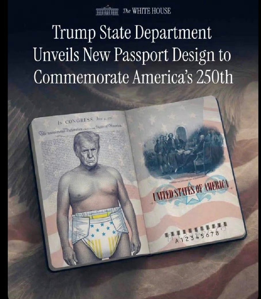 美国加州州长加文·纽森发布一张印有他面孔的假加州驾照，以此抨击特朗普在美国护照上