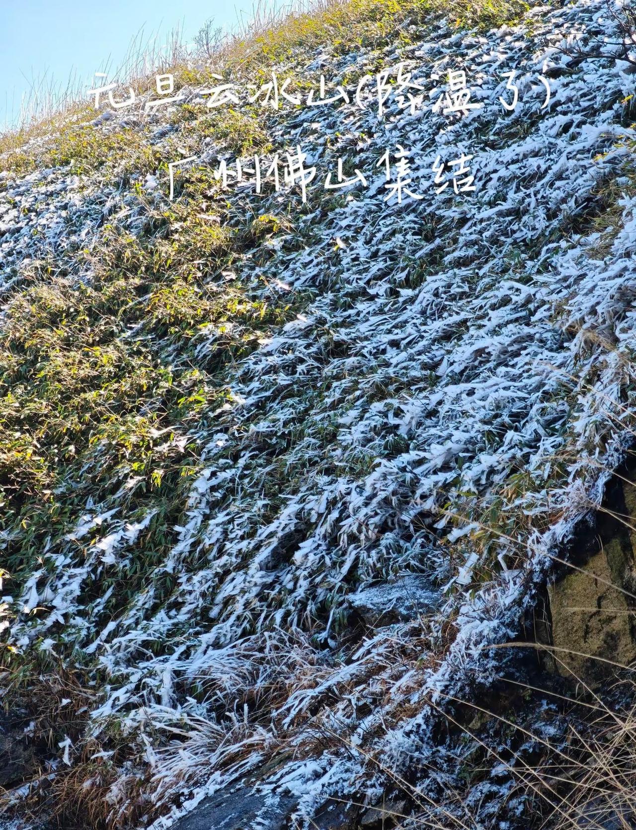 清远云冰山位于粤湘交界，以冬季冰挂雾凇和壮阔云海闻名。游客可登520级阶梯至山顶