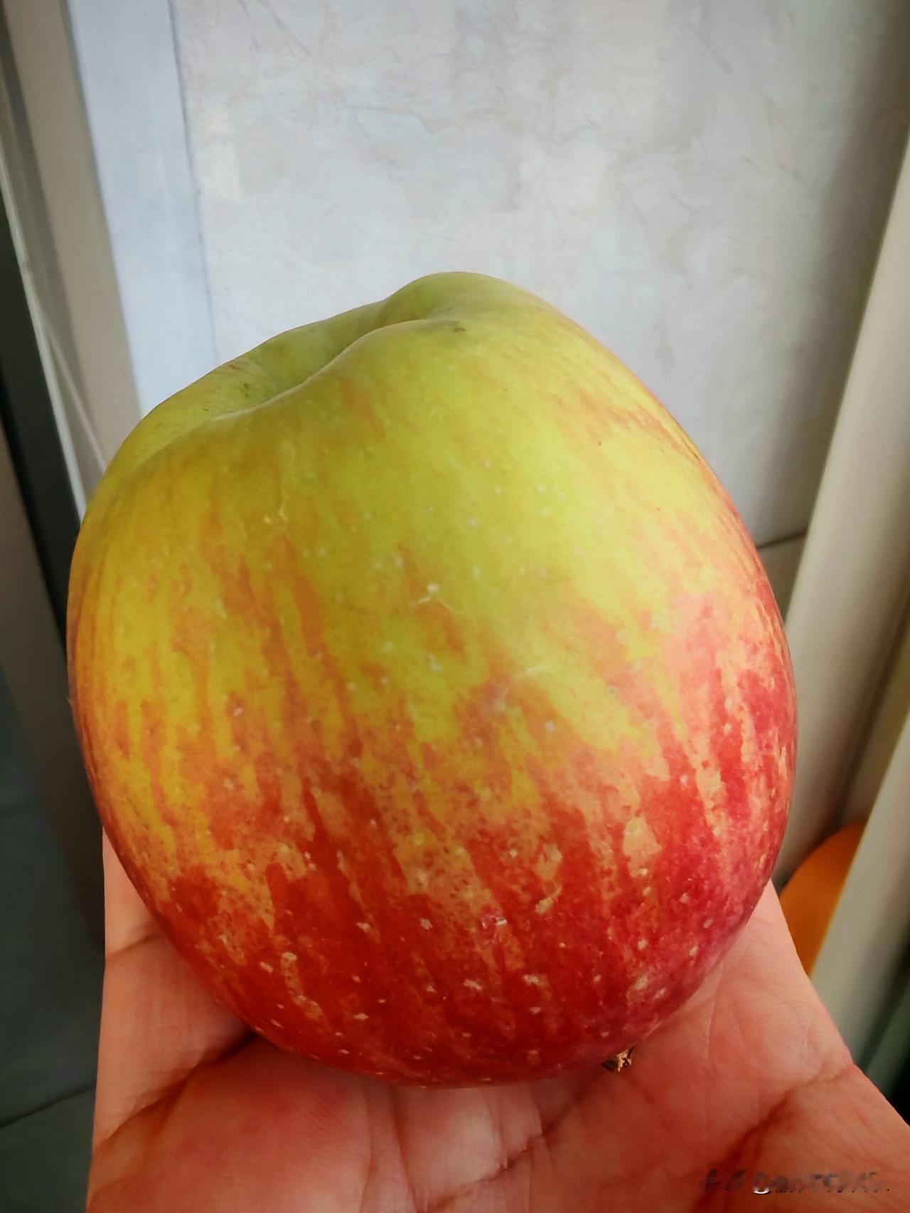 有父母在才有家！父母是孩子们最好最大的财富，不论什么时候都能有父母的陪伴那是最幸