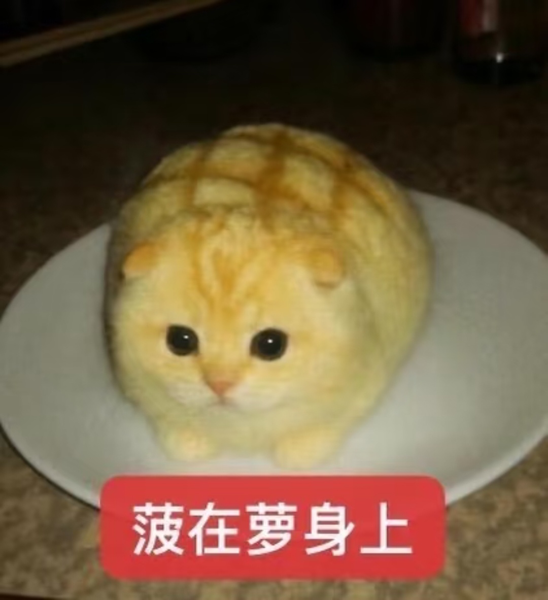 一堆低脂小猫表情包 