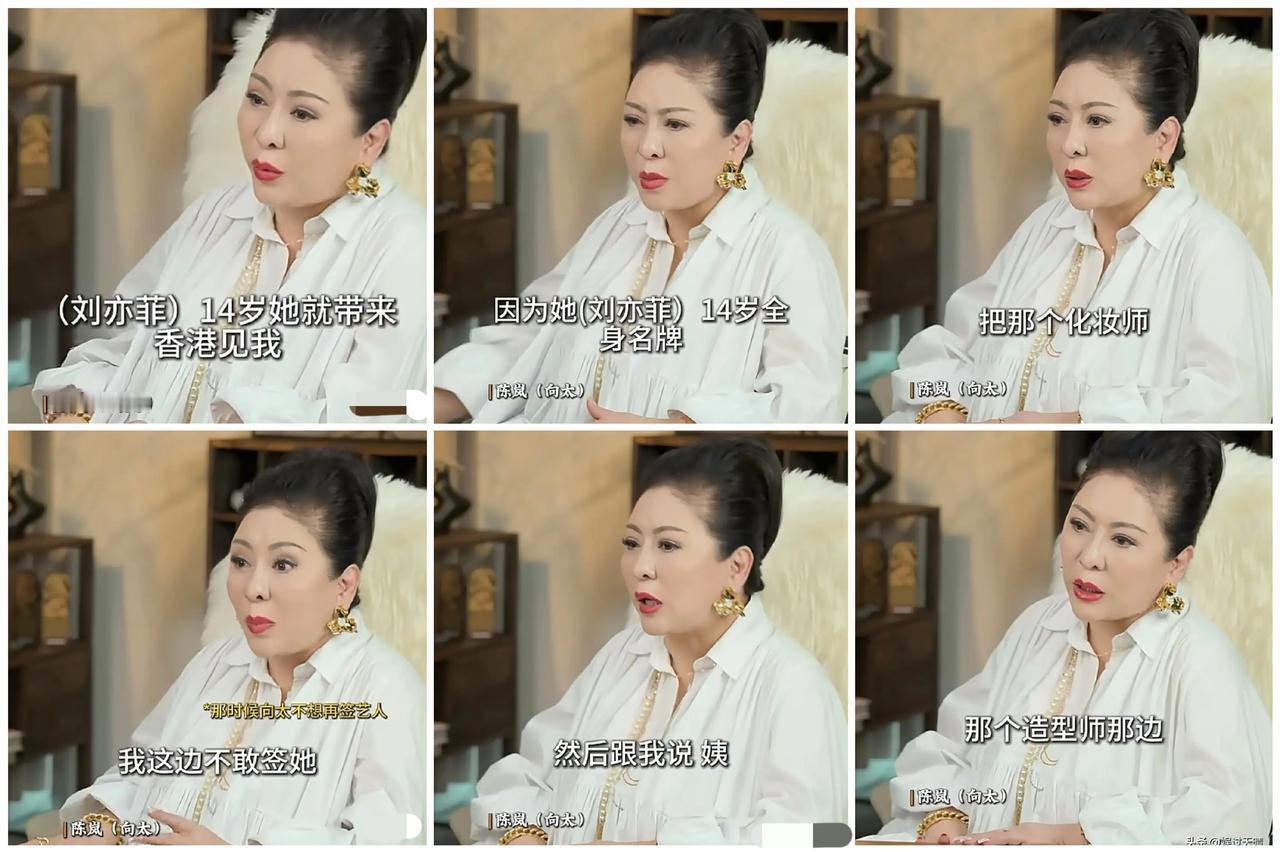 向太：“刘亦菲14岁的时候被她妈妈带来见过我，但我没有签她，因为她浑身名牌，张口