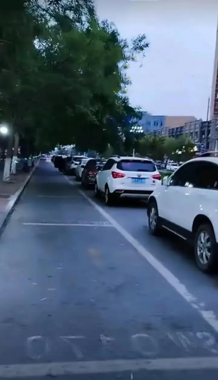 以前路边停车，警察说影响交通要罚款，现在路边划出线交钱就不影响交通了？问题是还要