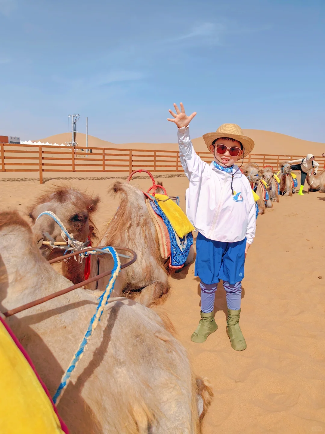 中卫！这回打开方式对头🫶