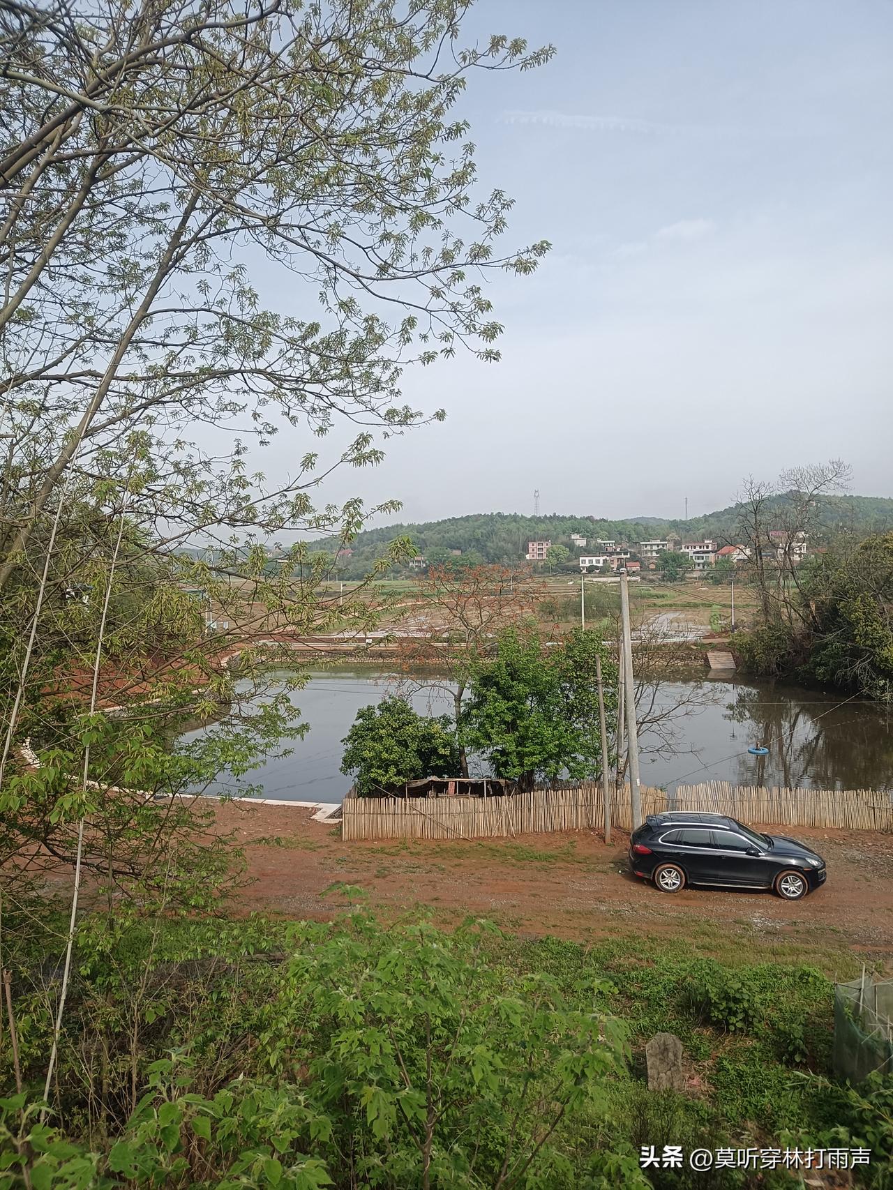 岁岁清明，年年思念。母亲离去已十九载。

清明雨柔，轻触我心底的思念。风带着微凉