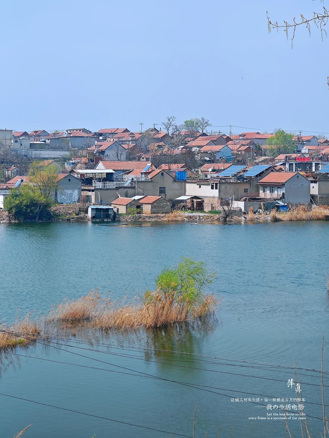 别等春天，去创造春天 ｜给想重启人生的你