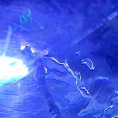 水族馆限定深蓝浪漫✨隧道抬头就能遇见缓缓游过的鲨鱼波光在水面晃动，巨影无声掠过暂