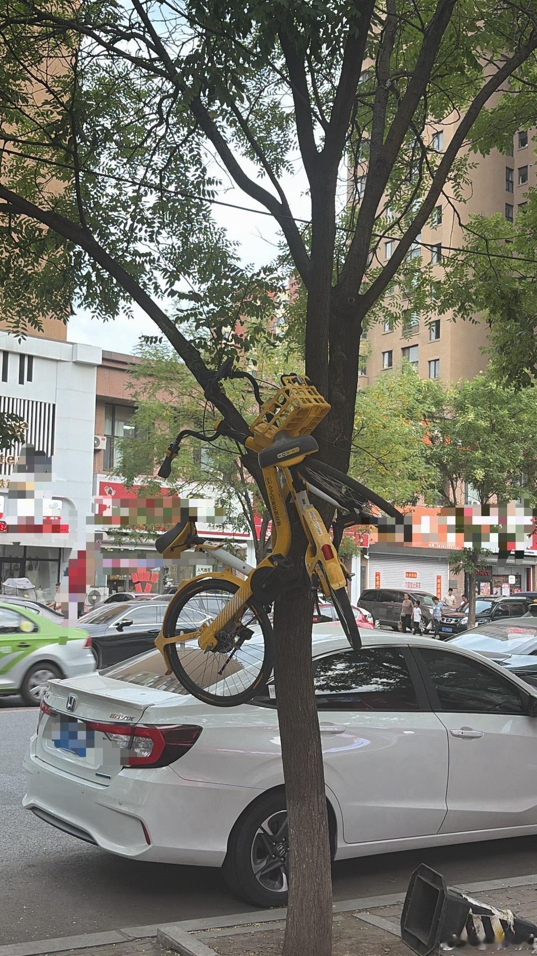 还能再过分点嘛，共享单车惹到你了嘛