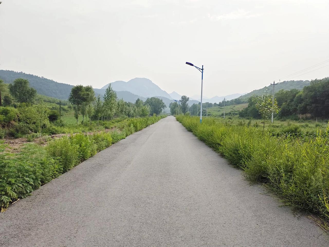 坐标：湖南邵阳农村，马路越来越宽，房子越建越好，可村里的人，却越来越少

走在路