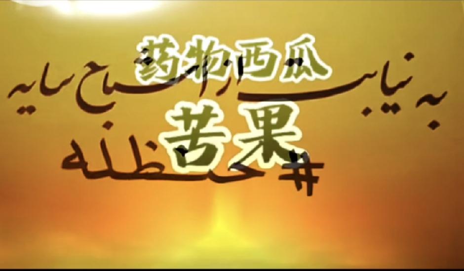 美伊战火升级！伊朗为何猛攻约旦？
 
近日中东战火再起，以军发起空袭后，美军迅速
