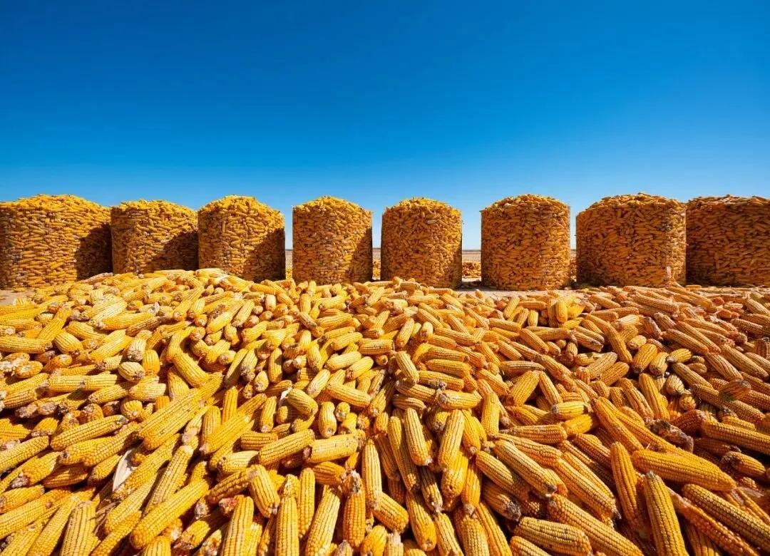 断中国的粮，饿死十几亿人？美国驻日本大使曾放话说，如果不接受他们的标准，就要切断