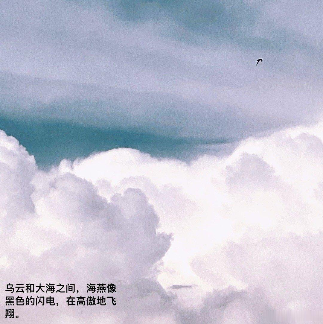 在苍茫的大海上，狂风卷集着乌云。在乌云和大海之间，海燕像黑色的闪电，在高傲地飞翔