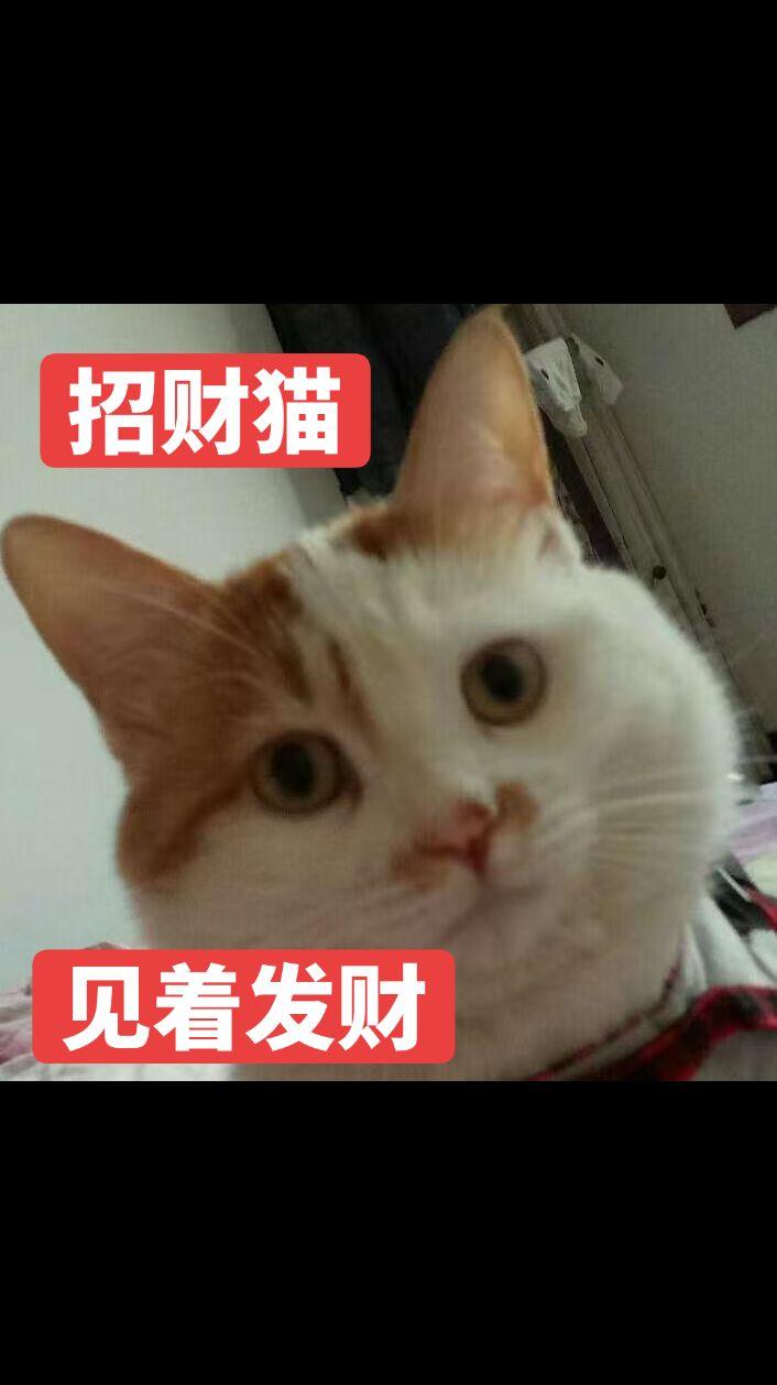 你就等着发财吧！抖音玩法合伙人计划