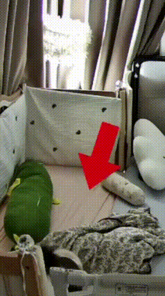 猫咪唤醒熟睡宝妈救回蒙被宝宝，是灵性还是侥幸？
 山东临沂，7个月大宝宝睡觉时翻