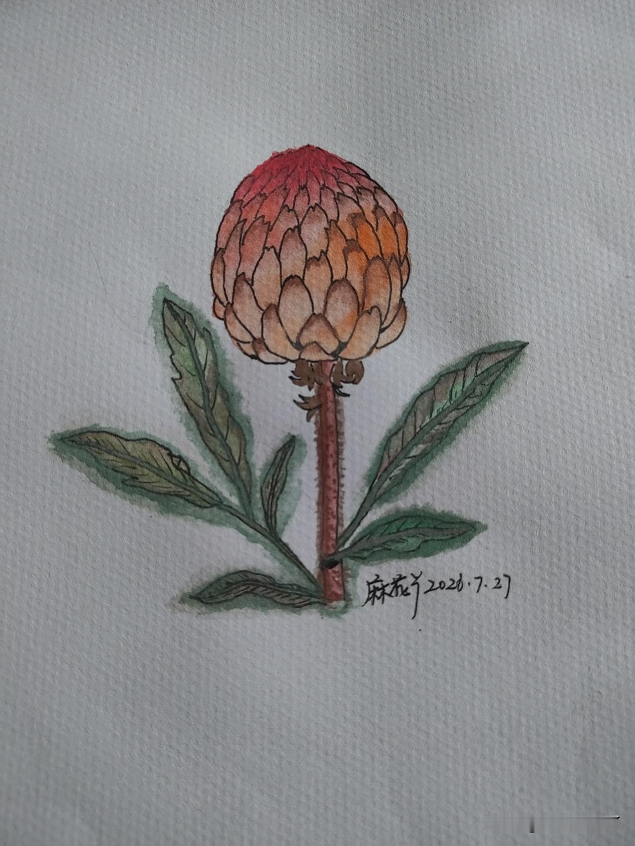 几年前，麻团儿从外面回来，给我买了一次冬枣。就是在路边三轮车上买的，你想想，路边