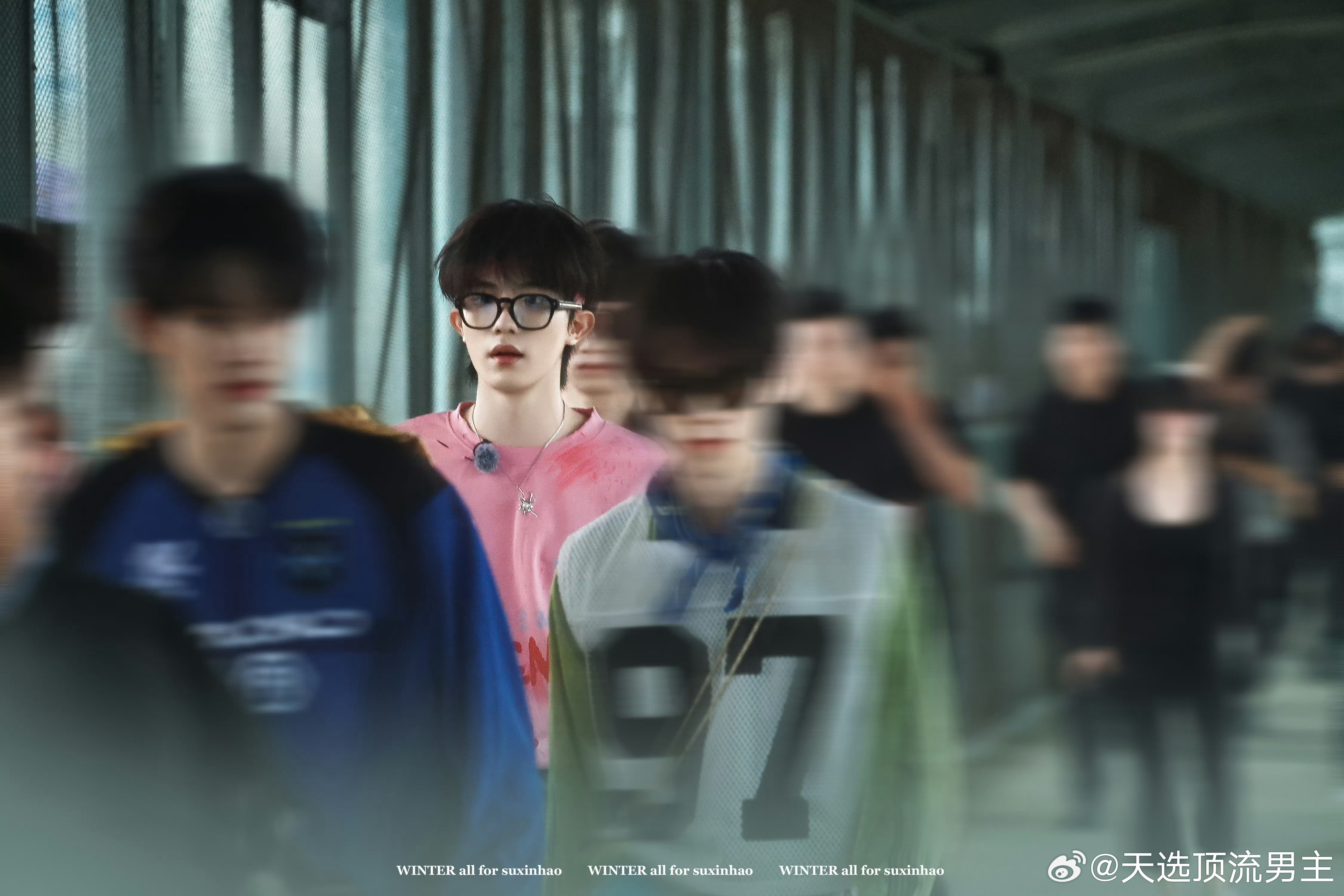 狗毛又被剪吗，咋蓬蓬的萌萌的软乎乎的 