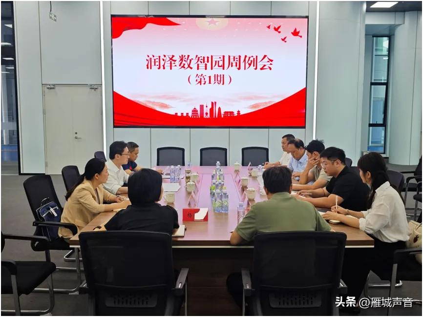 6月27日，衡阳高新区召开润泽数智产业园项目一期会议，会议提出：
①争取在两个月