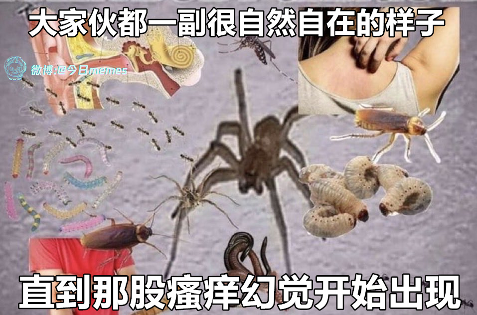 到底（9gag）今日meme[超话] 今日memes ​​​