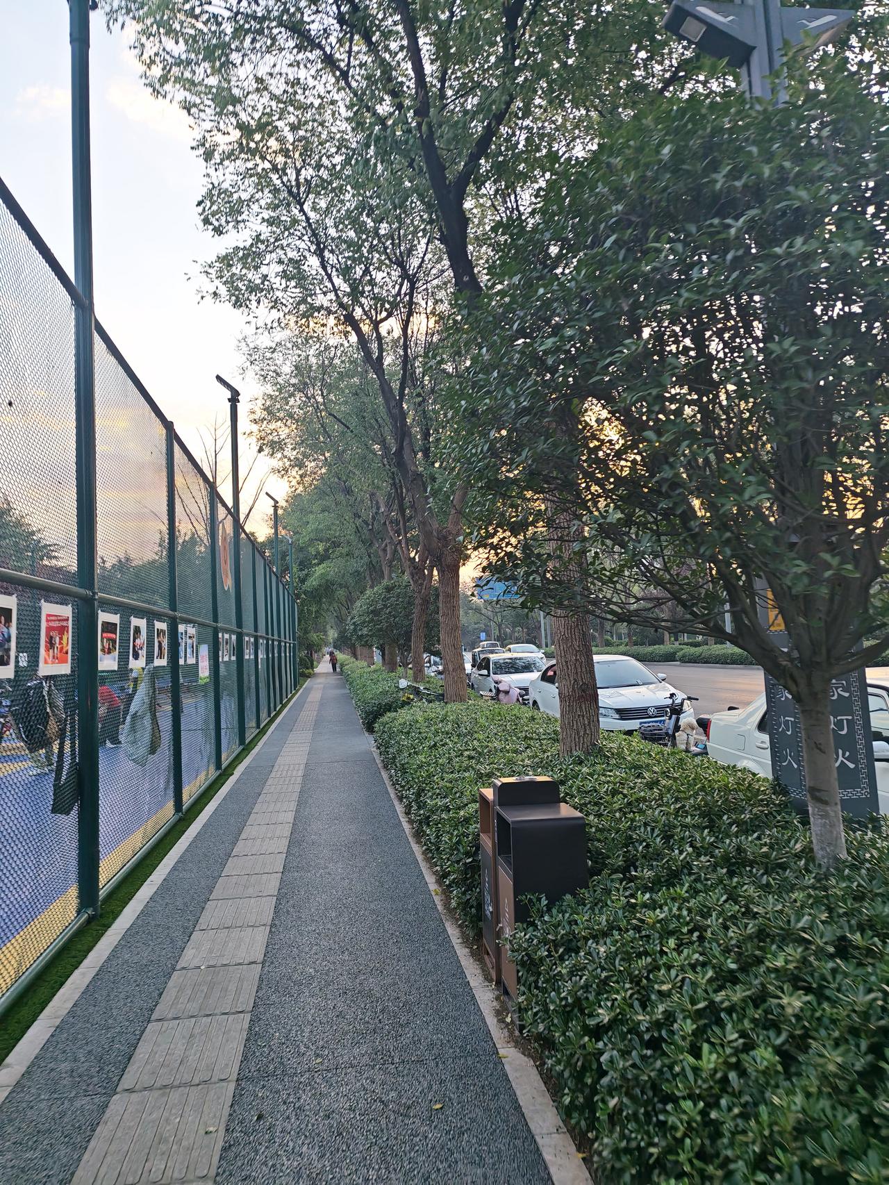 阎良绿化好，全民健身氛围很浓。
今天在阎良前进路上跑步，看到有不少跳广场舞，打乒