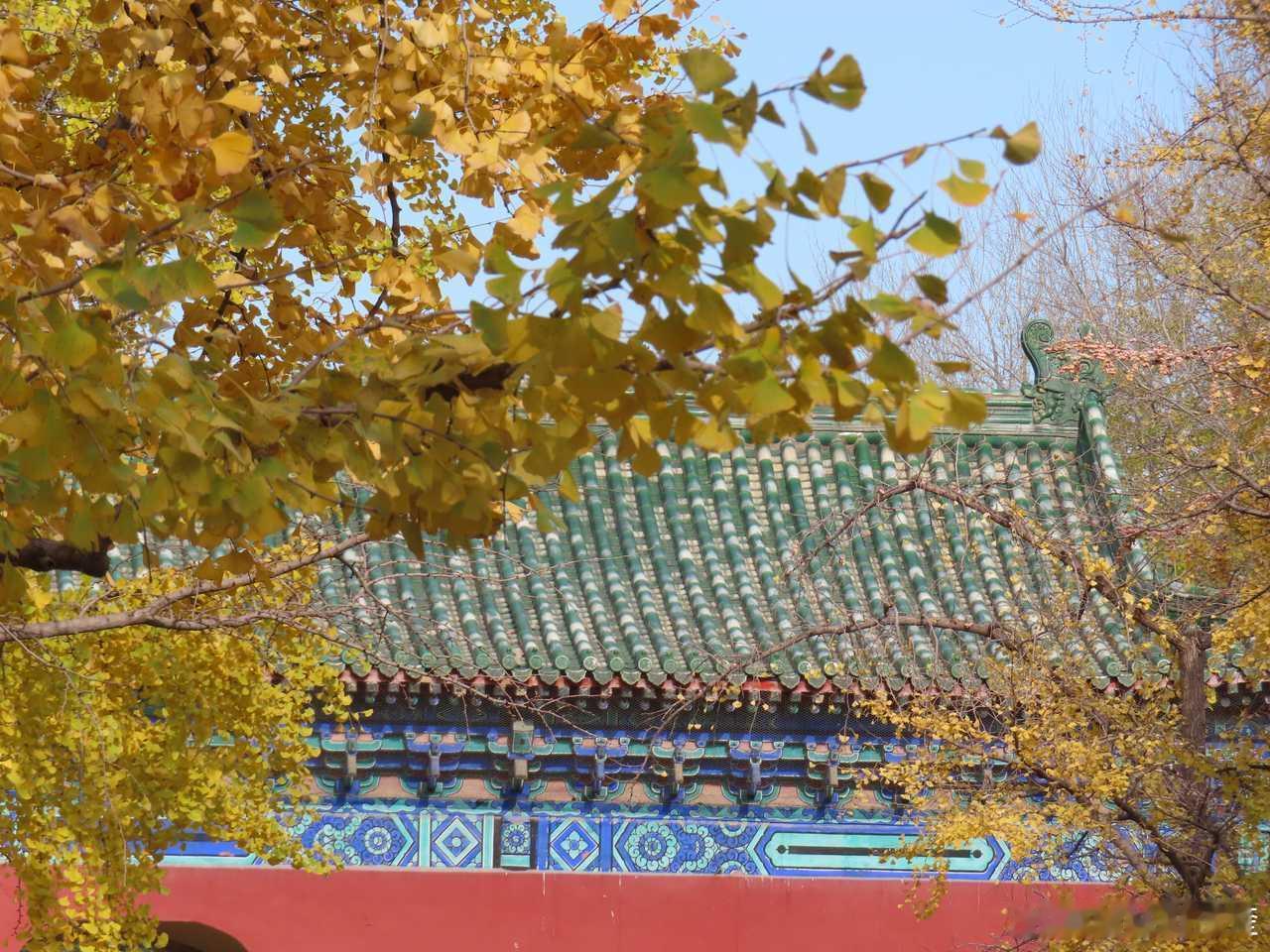 2025最高产艺人！！！ 