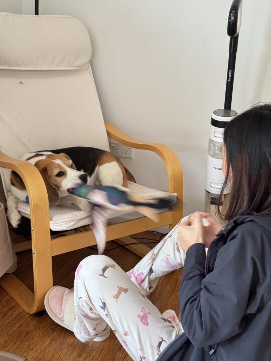 弹你鼻头儿🤘🏻