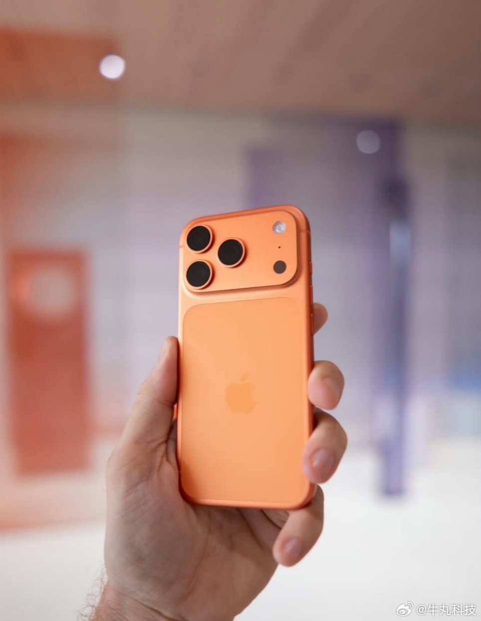 iPhone17买哪个颜色好看这个话题我会，这几天一直在研究买iPhone什么型