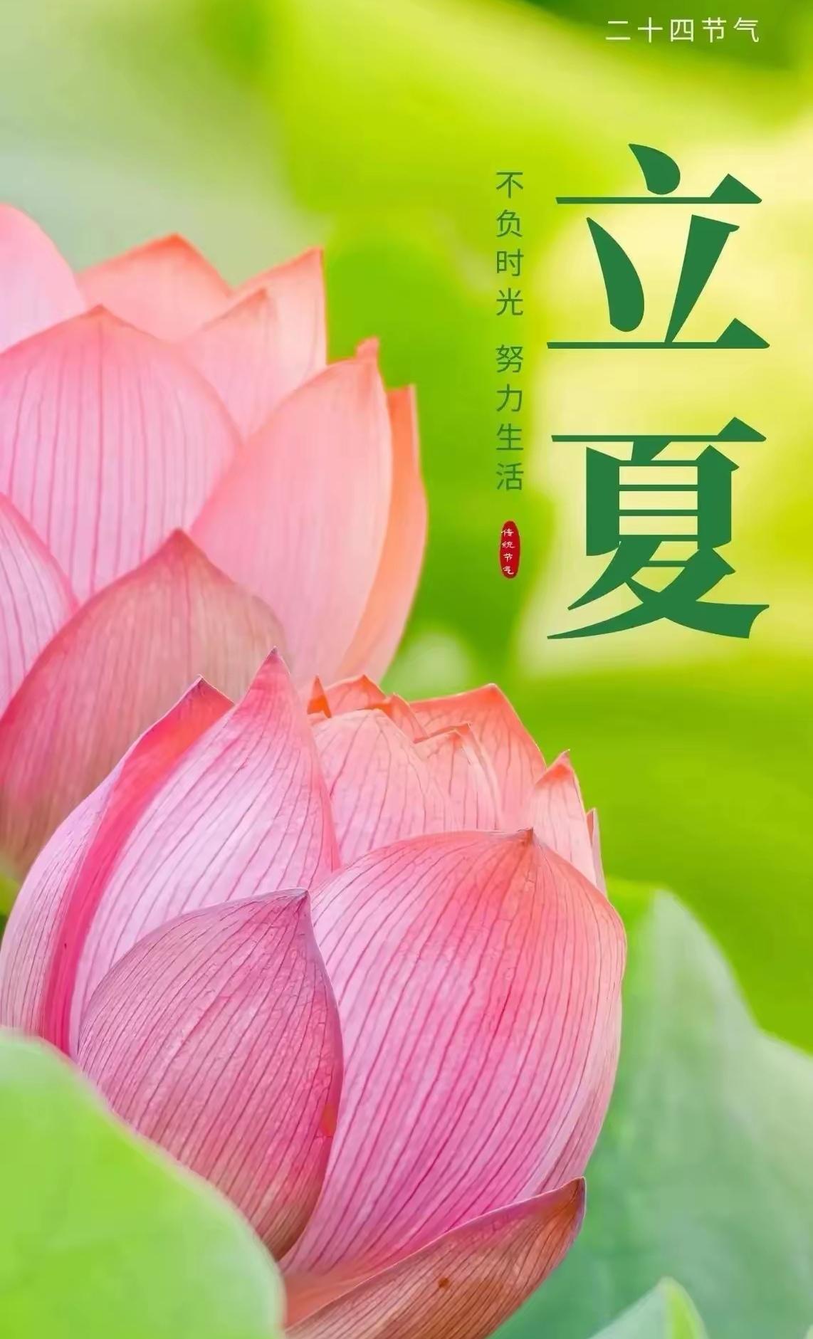 首夏犹清和，芳草亦未歇
——立夏有感

矢志蓝天

立夏到啦，绿叶肆意蔓延，繁花