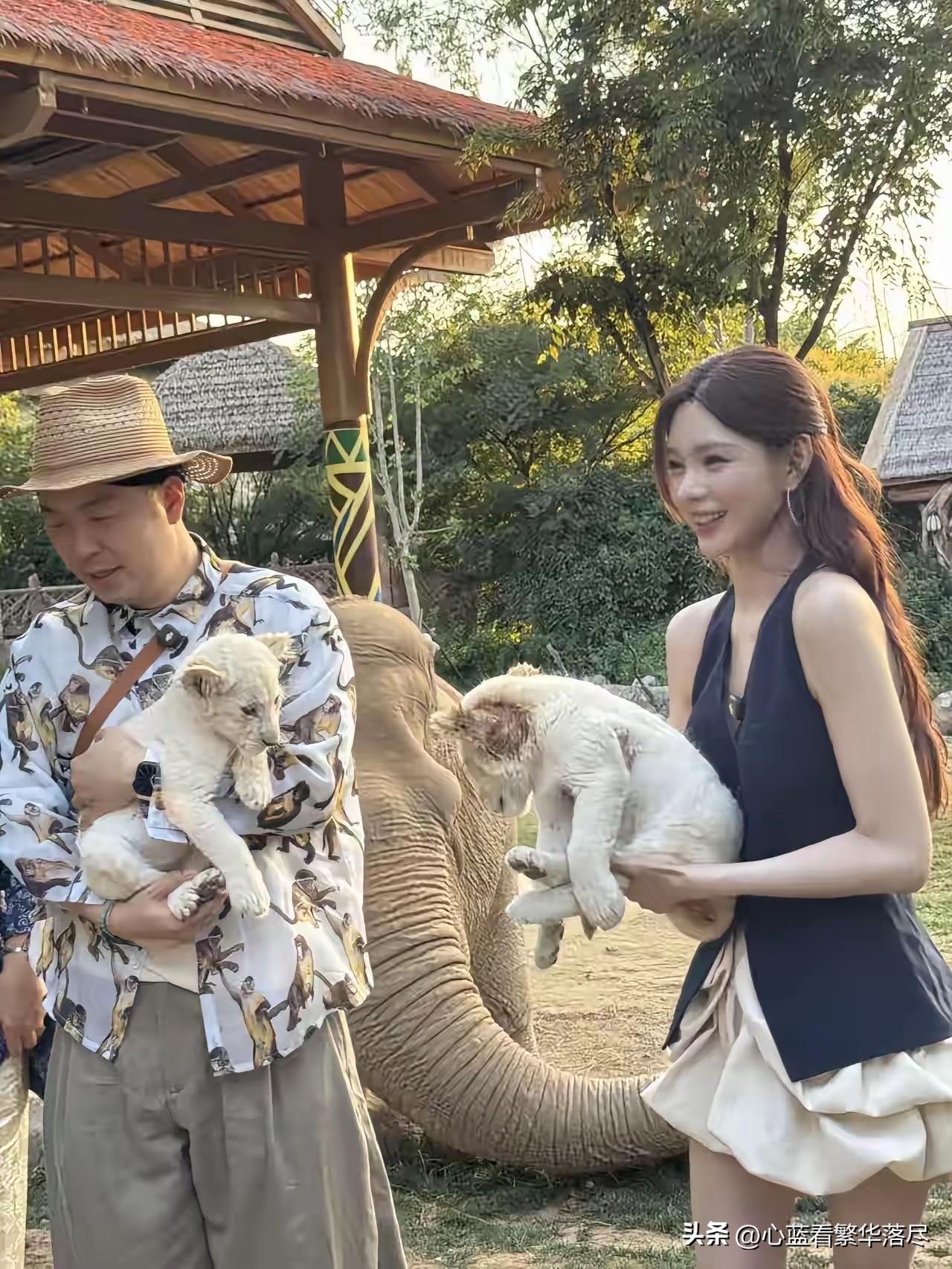看到杜海涛和沈梦辰在郑州动物王国，抱着白色小狮子合影时开心的表情，就知道他们夫妻