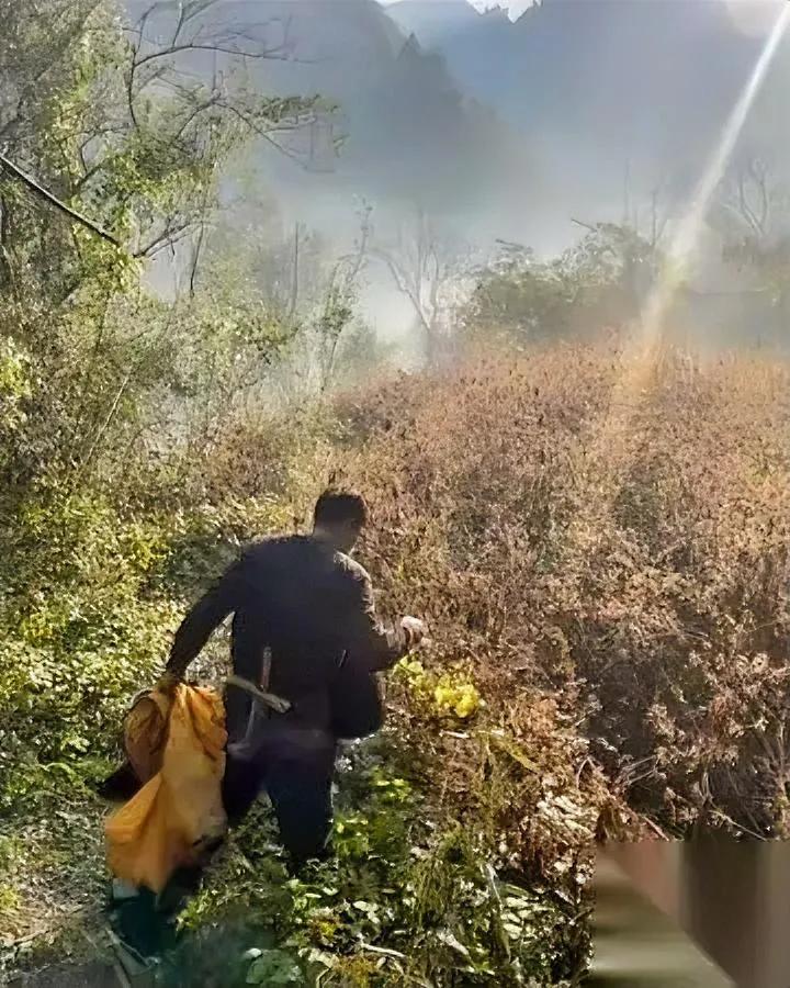 建哥要赢麻了！

他挖到“生命粮仓”了

建哥这波操作绝了！新发现的物资山简直是