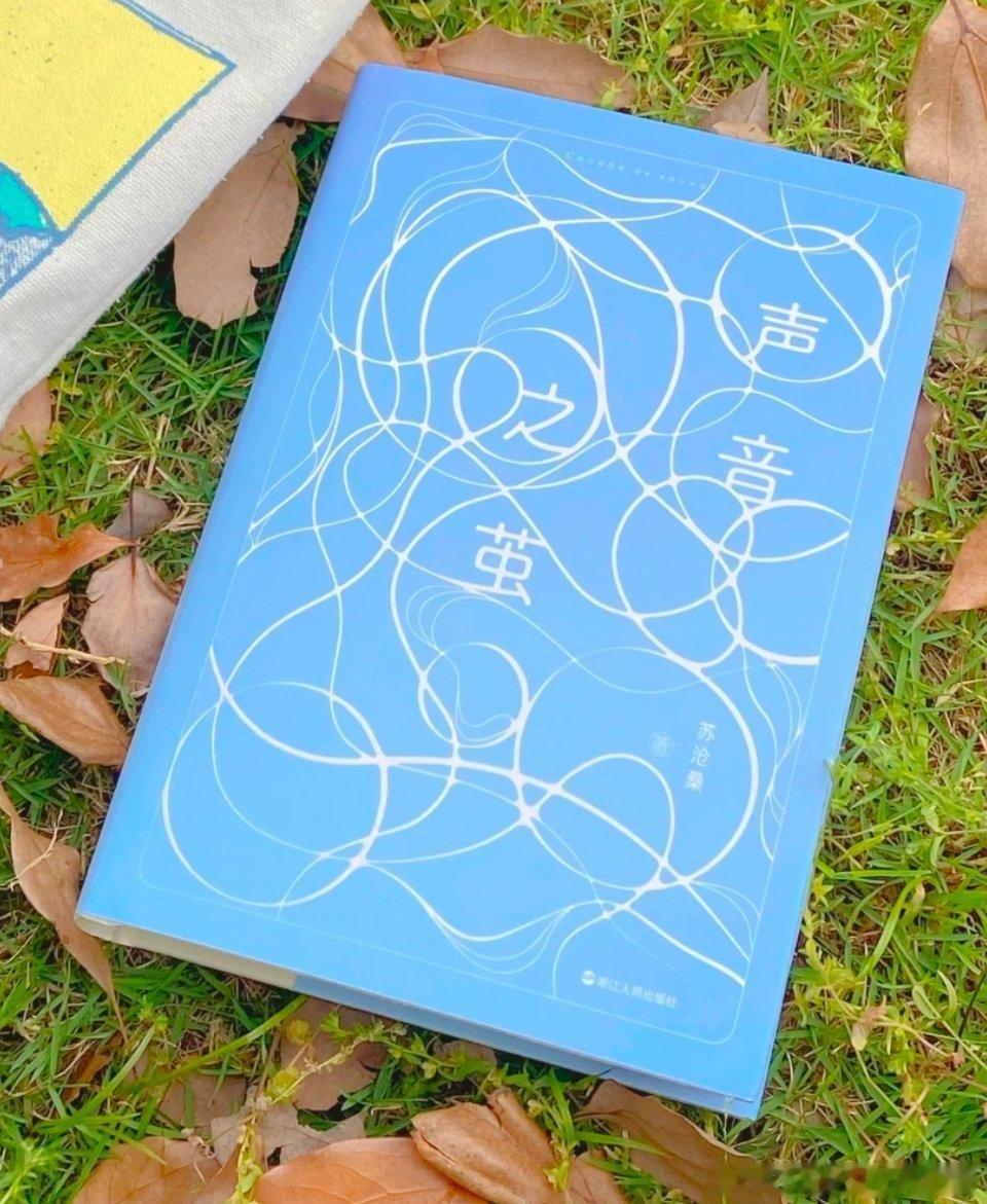 ——孤身如岛，万籁如茧环抱；四季之音，皆是时间来信苏沧桑的《声音之茧》是一部耗时