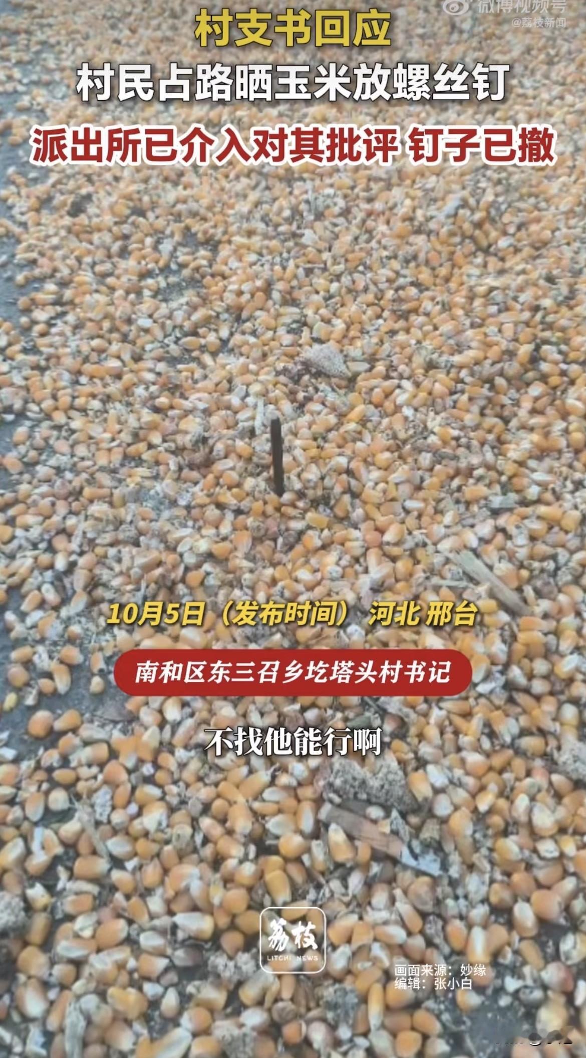 玉米堆里混着螺丝钉。尖头朝上。

扎破车胎之后，车主报了警。清理了。第二天他又走