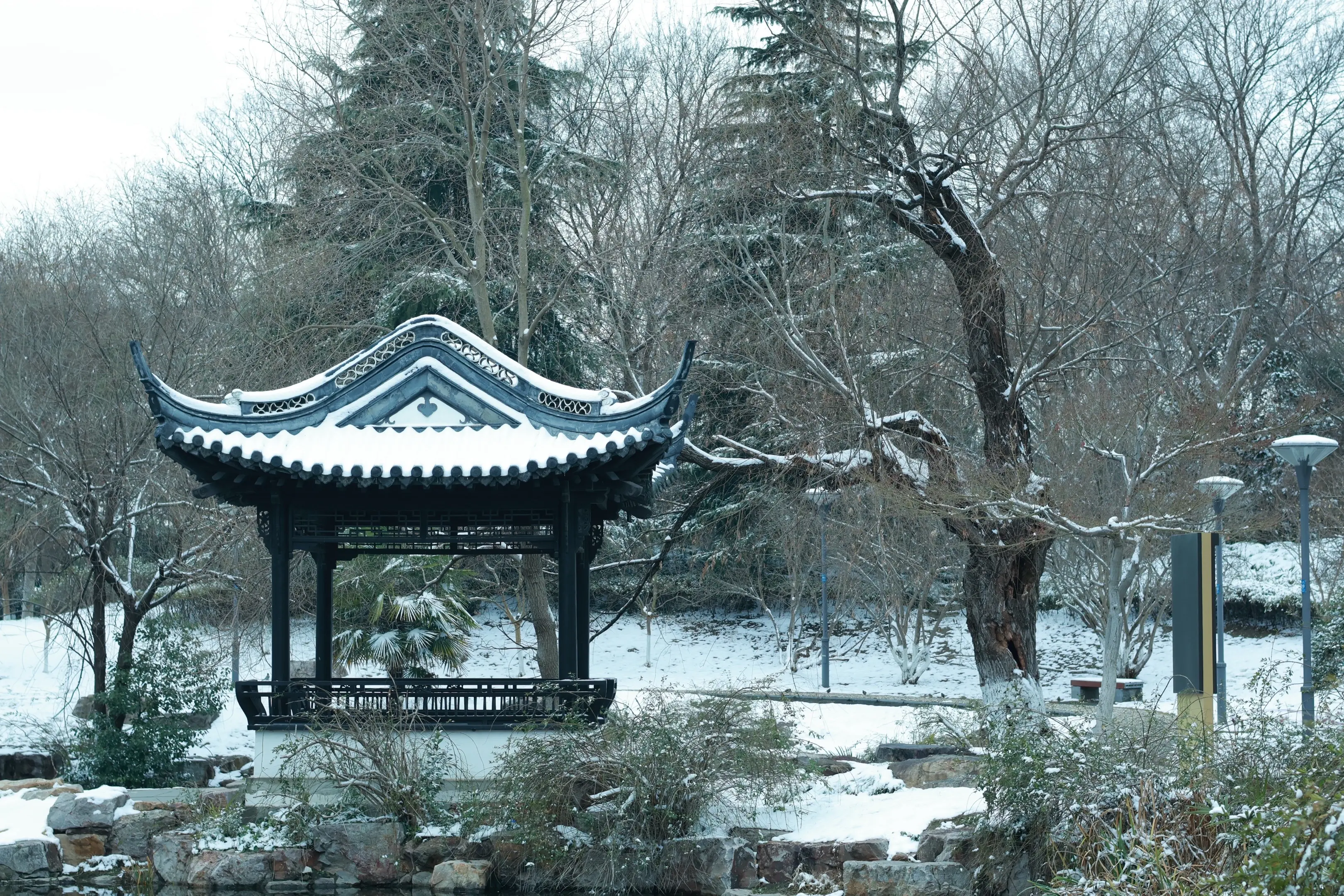 下雪有什么好呢 又不是下男人😂😂