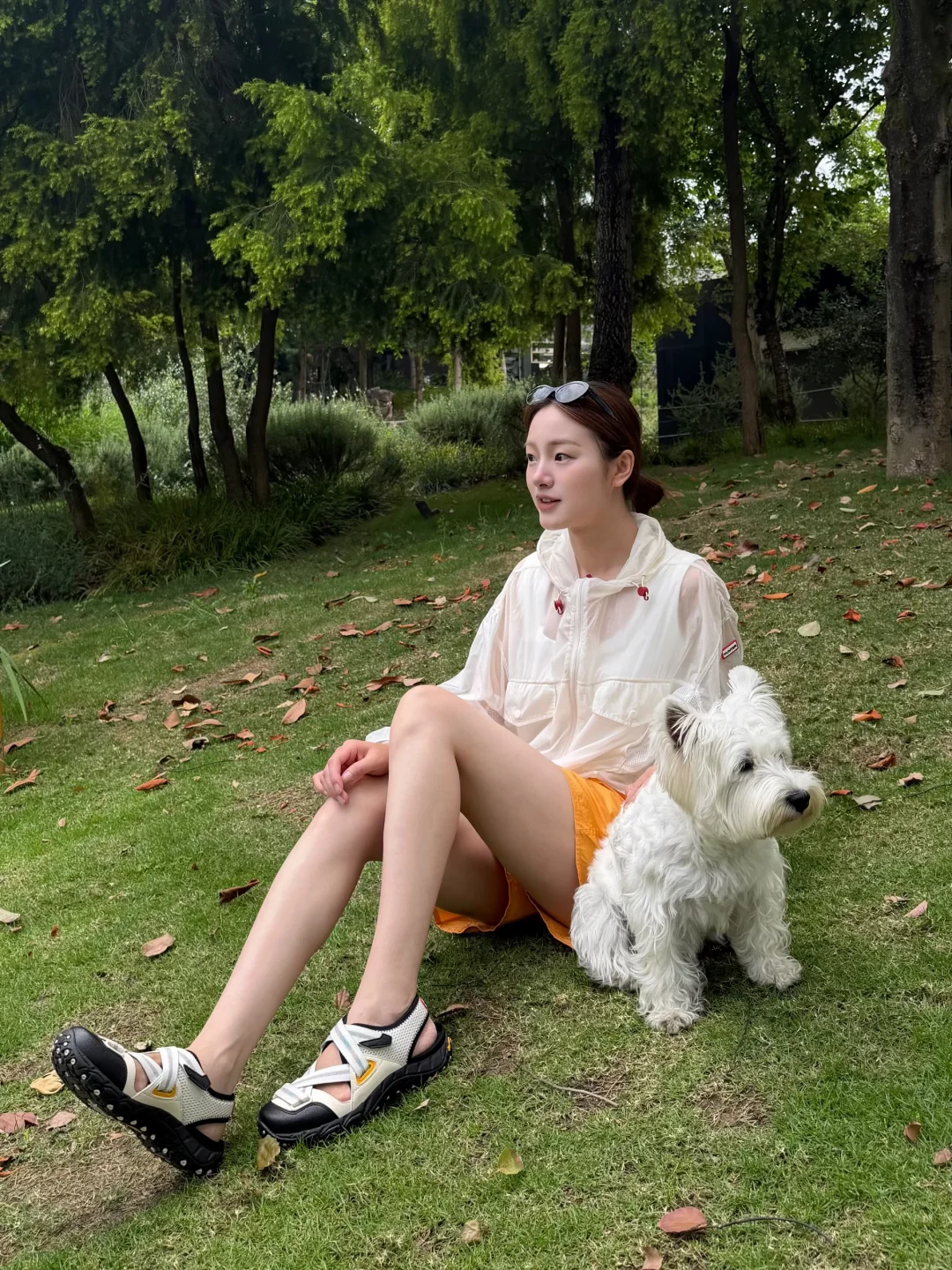 被小狗和草坪治愈的一天
