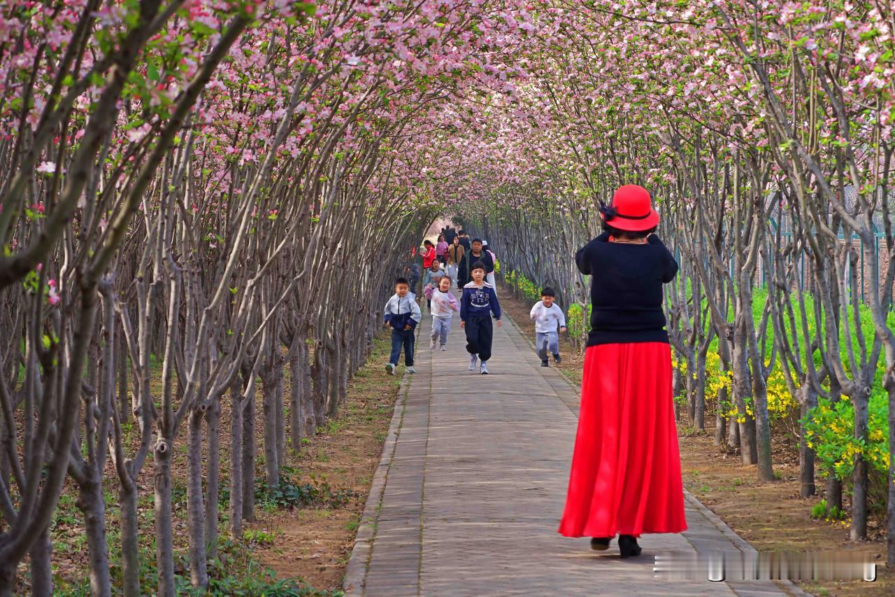 人到了一定年龄，特别是到了退休年龄，一定要有一个自己的爱好才行。
贾平凹说：人必