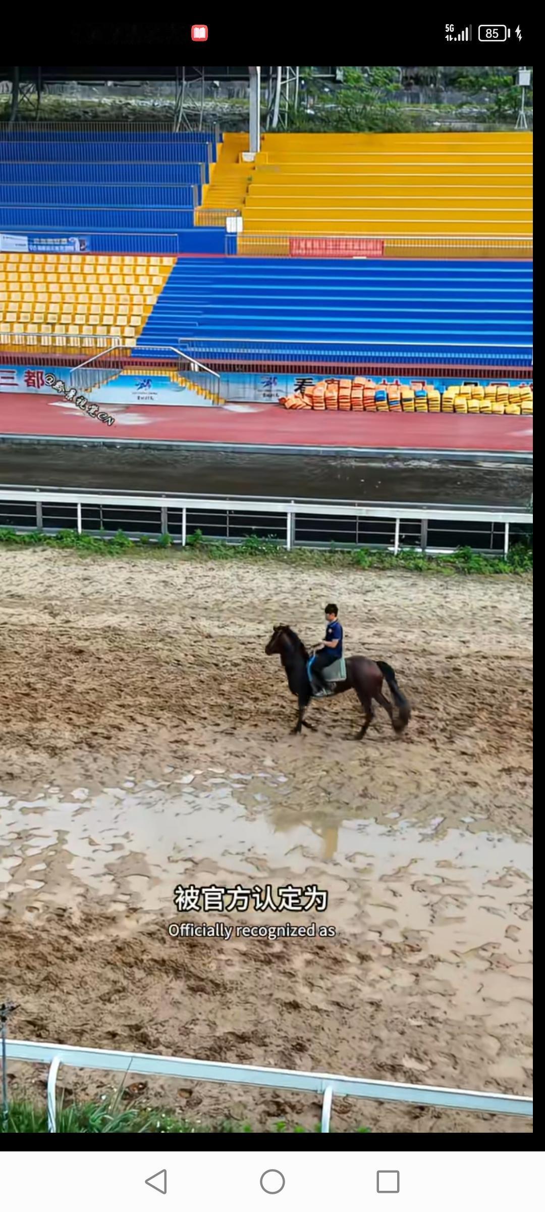 贵州黔南三都县有个超厉害的赛马场，占地900亩，是贵州最大的。2026年春节“贵