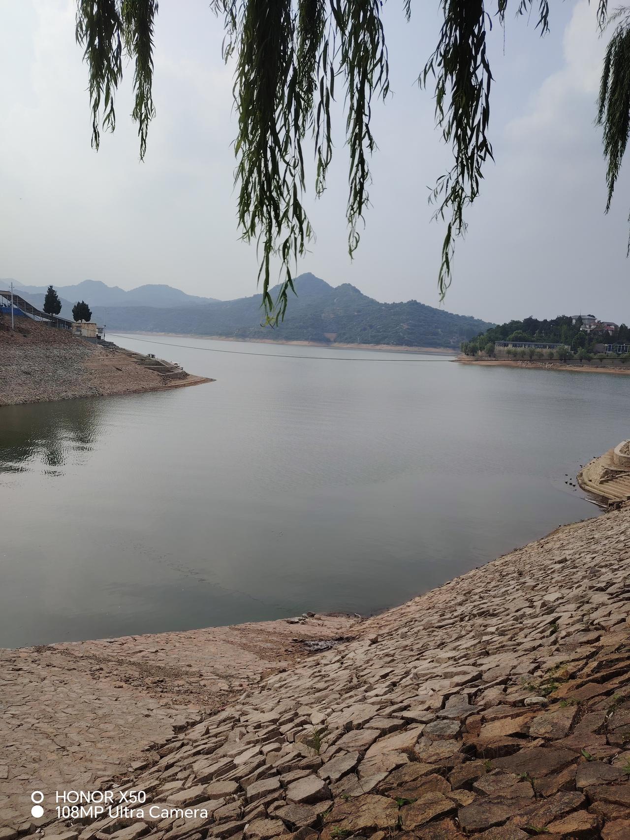 静谧湖畔，绿柳拂面，悠然自得。