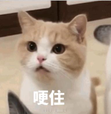 今天好奇怪啊，下午接了个奇怪电话说叫我改签我没怎么理就挂了晚上又接一个私人手机号