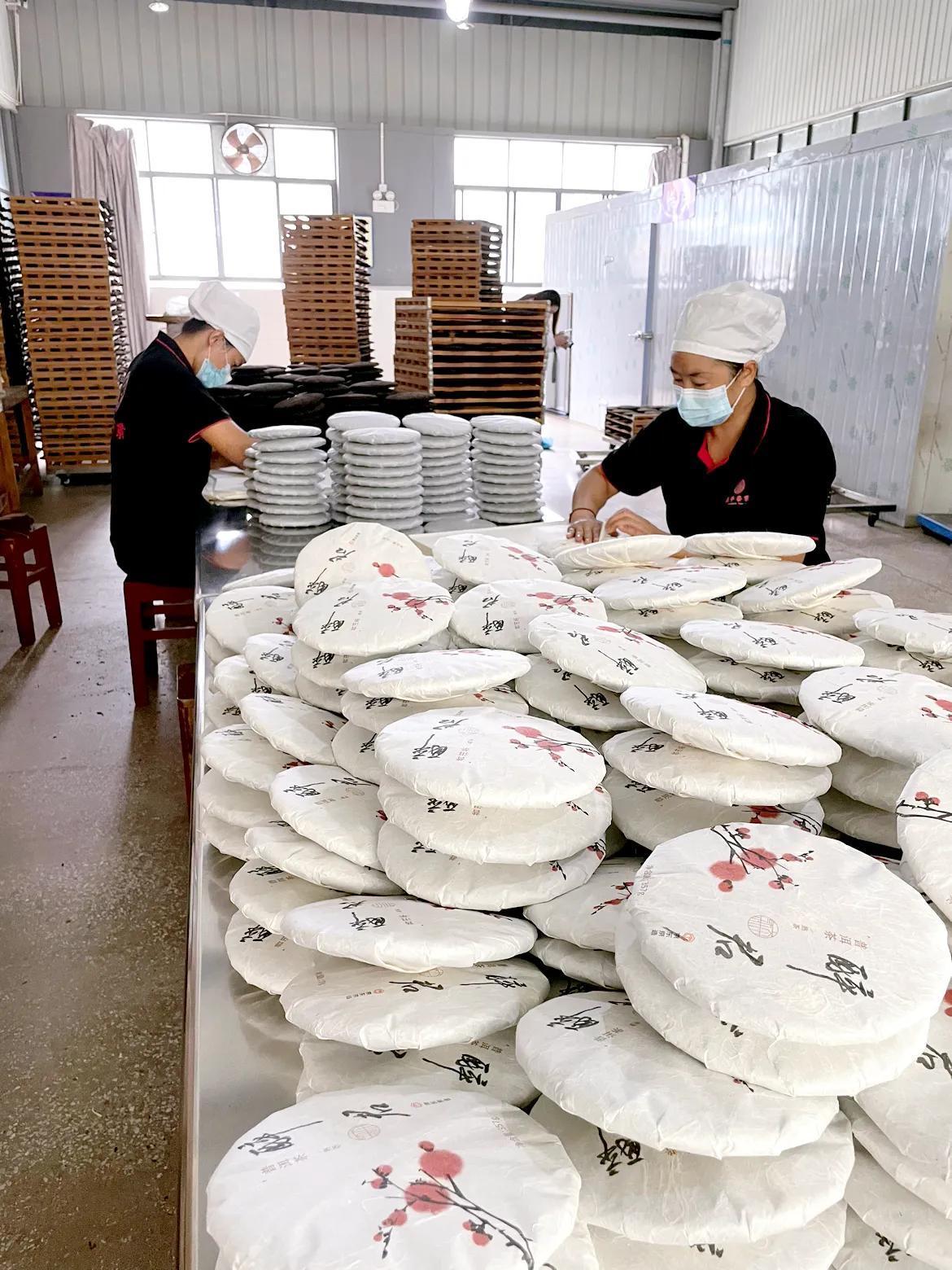 【滇红茶的天花板，是金芽吗？4万个芽头只能制成约1公斤精制茶】
实地走访滇红茶企