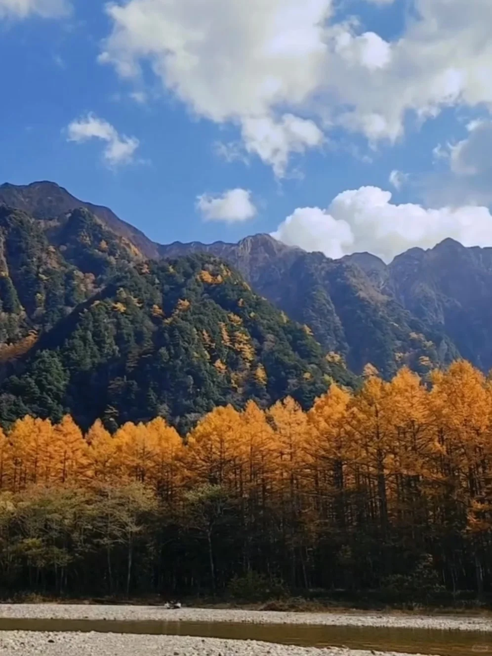 秋季美过瑞士，二刷日本阿尔卑斯山上高地