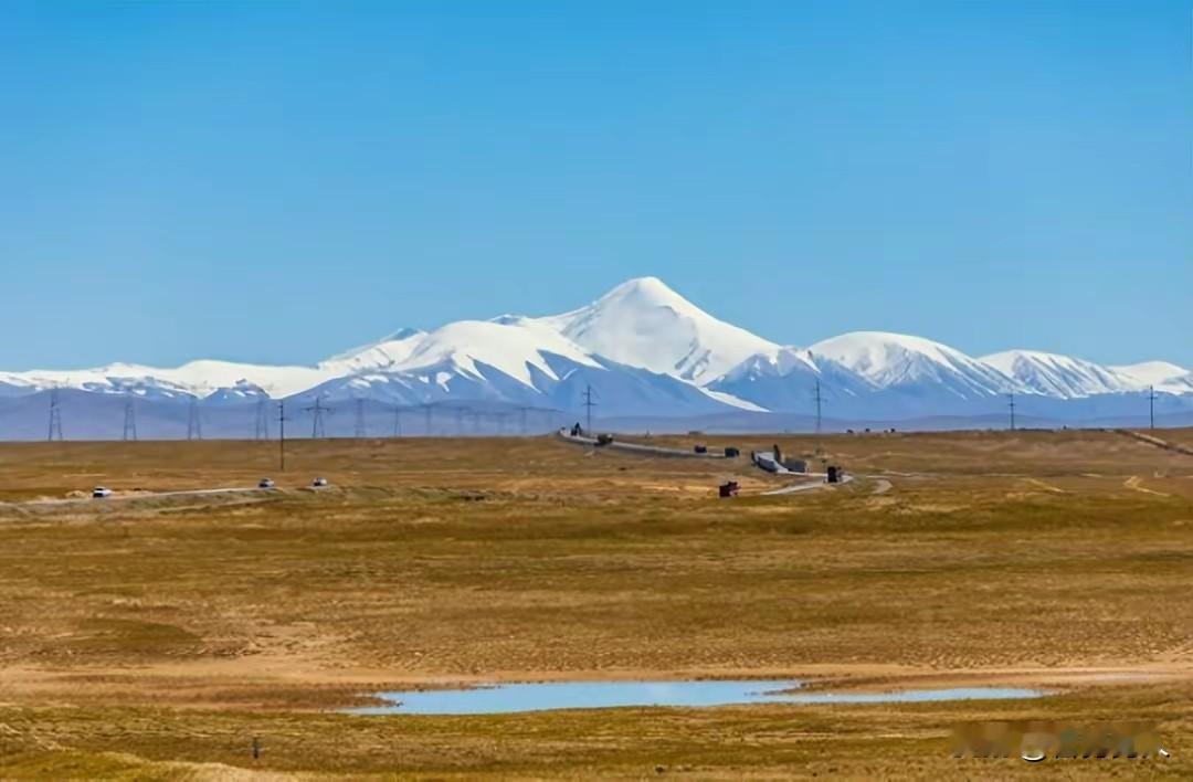 前不久，大学同学聚会。组织者告诉我，一定要来，都安排了你的发言。我说，同学会大家
