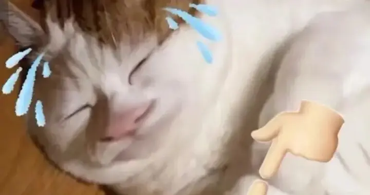 我雇了個AI，替我讀微信列表里“吃灰”的公眾號文章