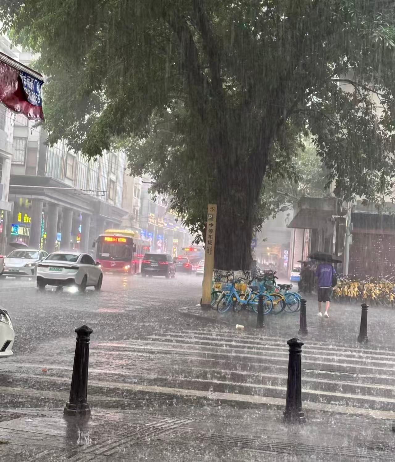 广东开启雨雨雨水水水模式难得周日安心窝在家里，连日干燥整个人都不舒服，下雨天才是