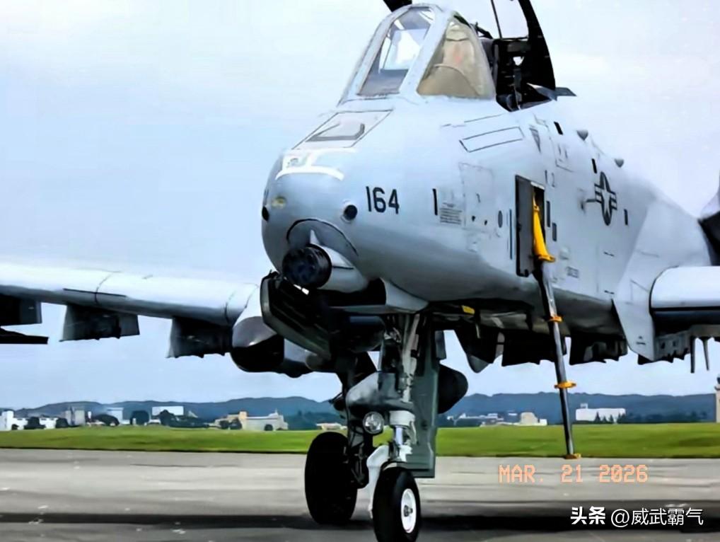 美国空军上将丹·凯恩证实，美国动用A-10攻击机在霍尔木兹海峡执行清扫任务，这款