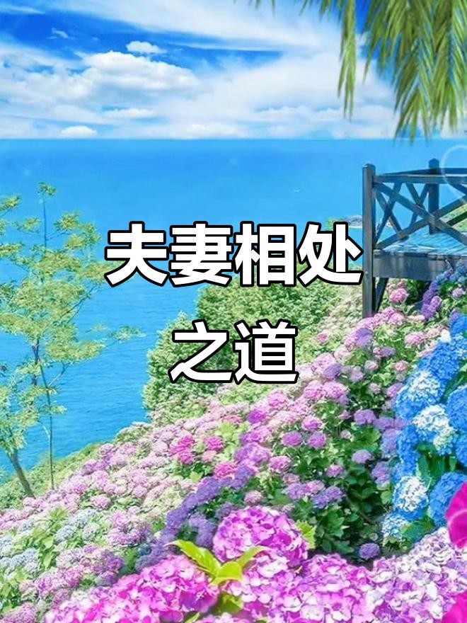 夫妻相处之道

夫妻相处有不少实用门道，这里聊聊几个反常识的真实观察，不少长期关
