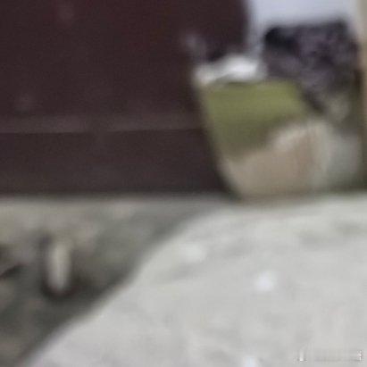 随手拍晚饭！ ​​​