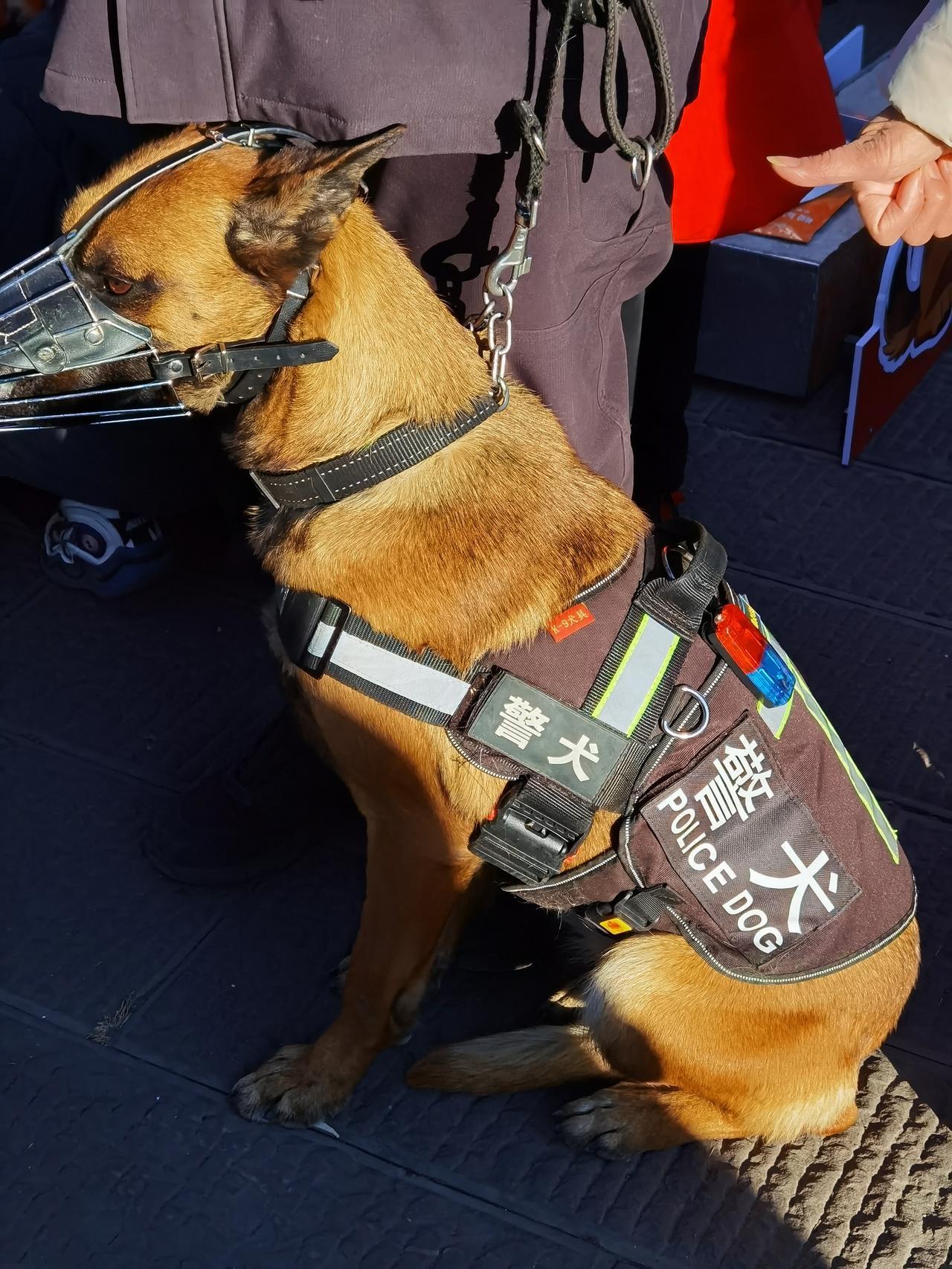 今天是第六个警察节，承德市的庆祝活动搞得丰富多彩。

1月10日10点，紧邻避暑