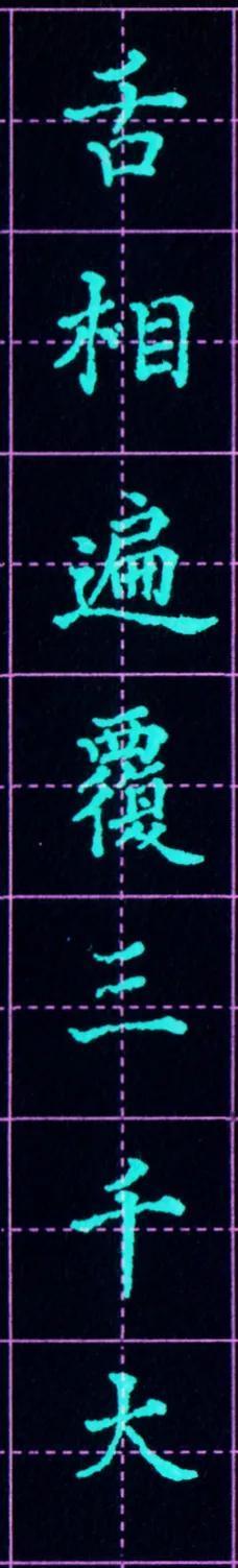 硬笔临写林则徐无量寿经（172）