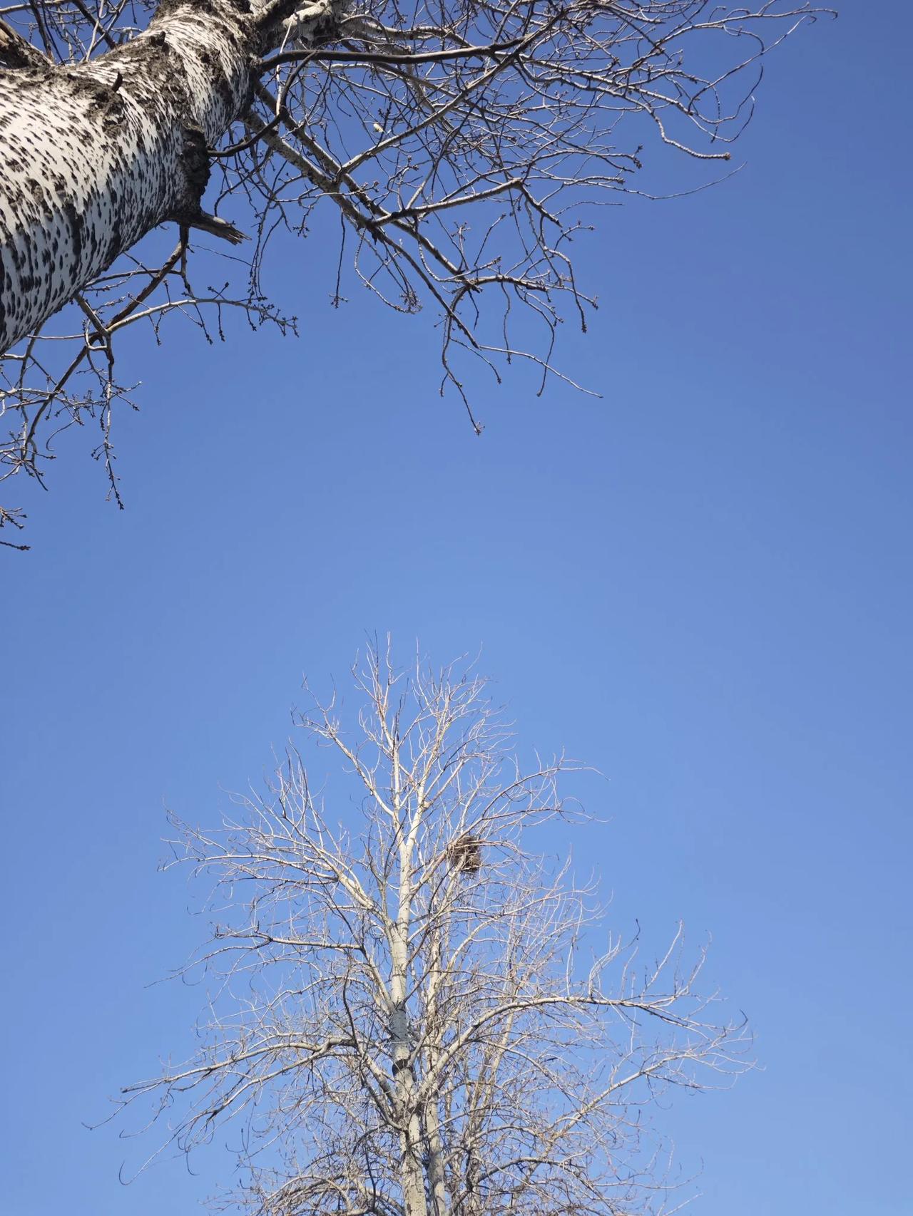 中国U21男足2：0击败伊朗，可为啥伊朗是U20呢？
U20和U21身体差距应该